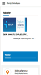 Mobile Screenshot of divrigi.bel.tr